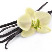 Vanilla Sticks With A Flower On A White Background.